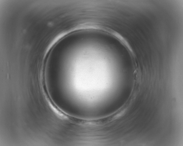 X0000082731101200701261238