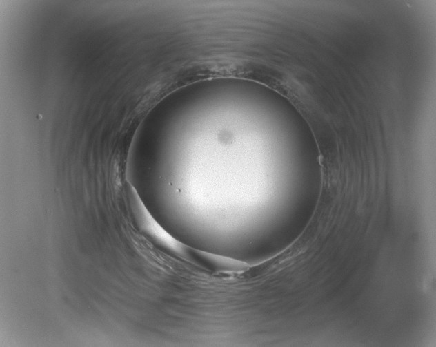 X0000082731106200701261238
