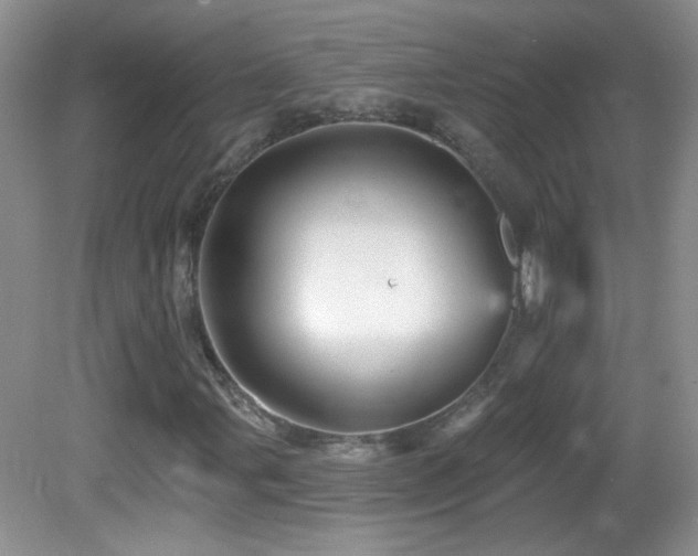 X0000082731107200701261238