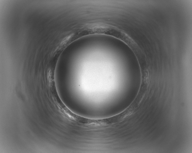 X0000082731108200701261238