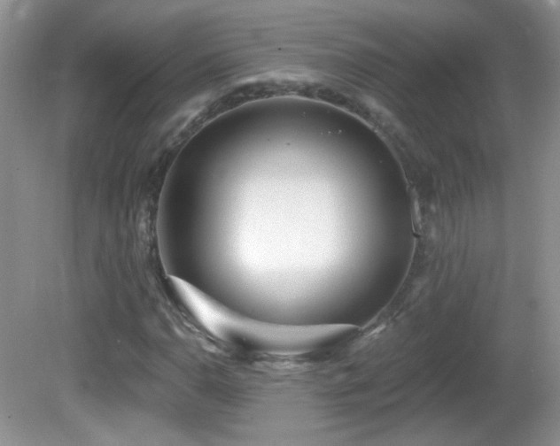 X0000082731110200701261238