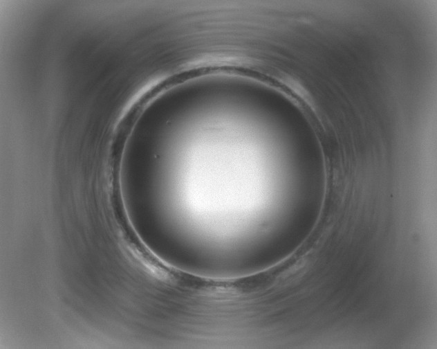 X0000082731119200701261238