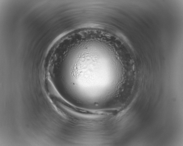 X0000082731125200701261238