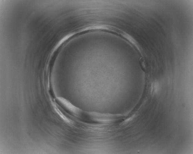 X0000082731127200701261238