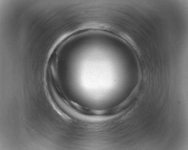 X0000082731128200701261238