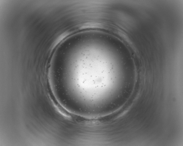 X0000082731129200701261238