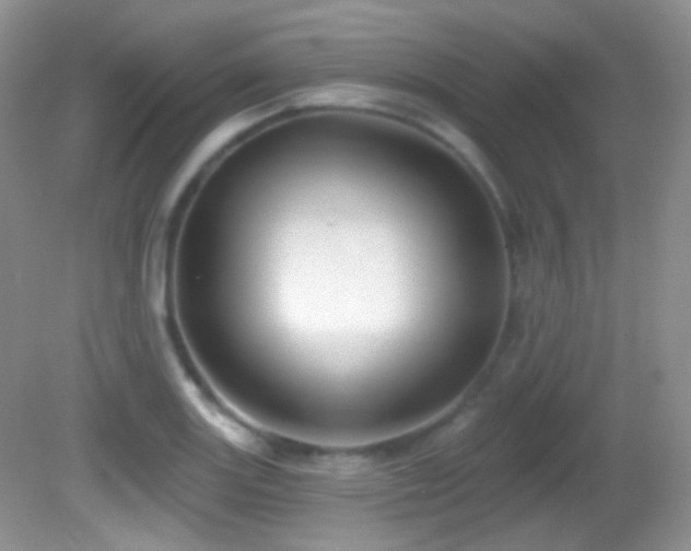 X0000082731131200701261238
