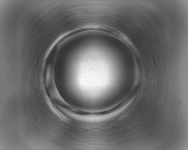 X0000082731132200701261238