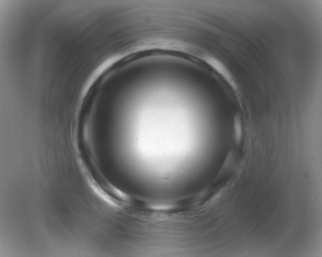 X0000082731136200701261238