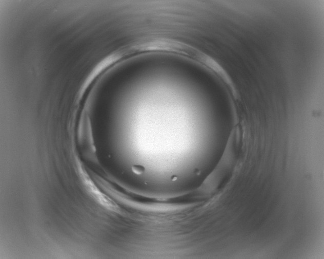 X0000082731138200701261238