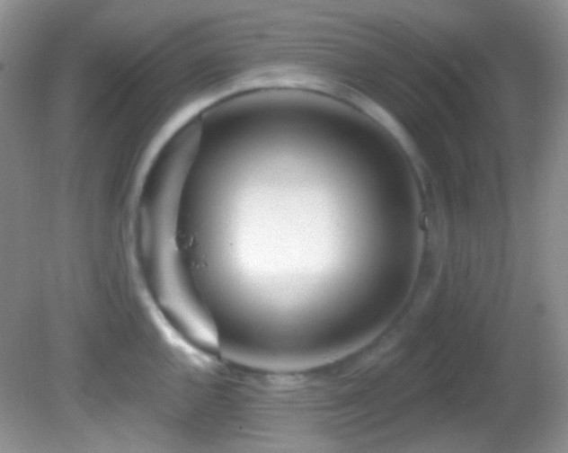 X0000082731144200701261238