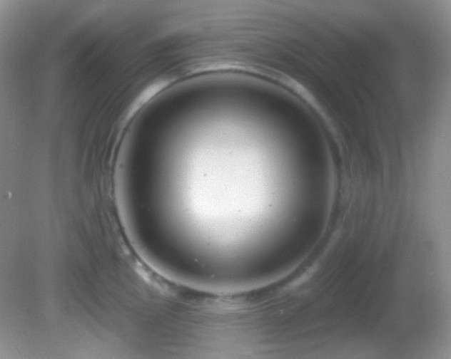 X0000082731145200701261238