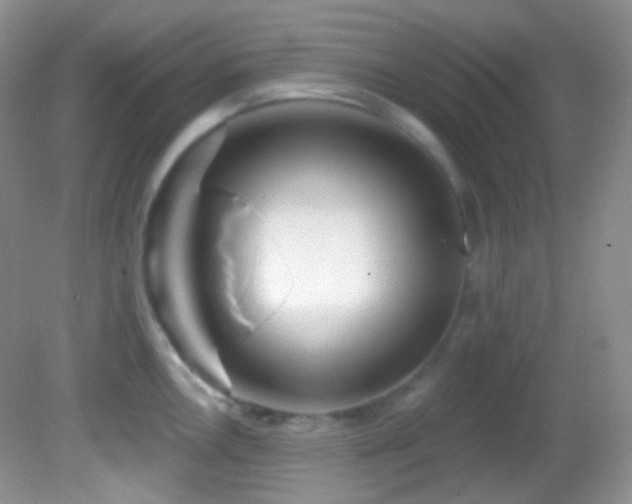 X0000082731146200701261238