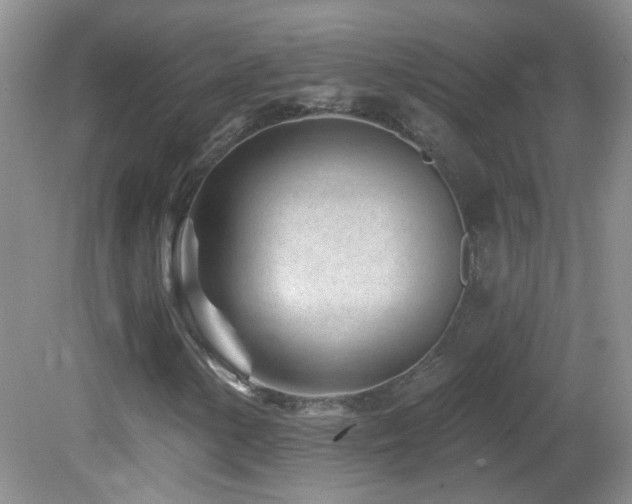 X0000082731154200701261237