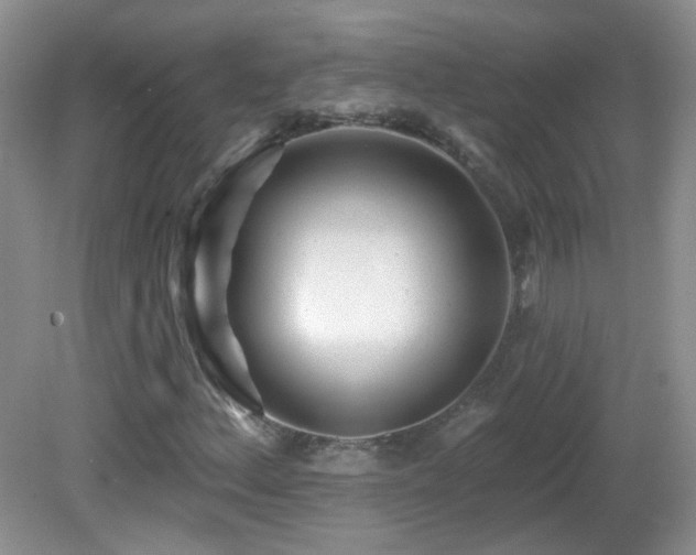 X0000082731156200701261237