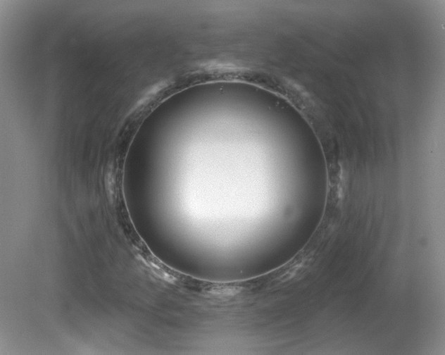 X0000082731157200701261237