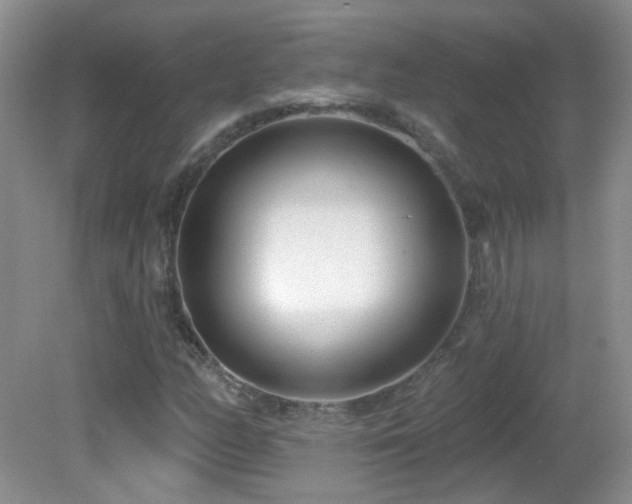 X0000082731158200701261237