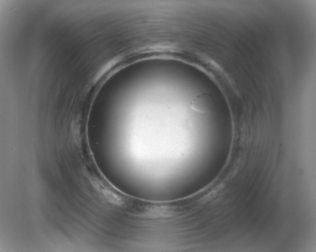 X0000082731162200701261237