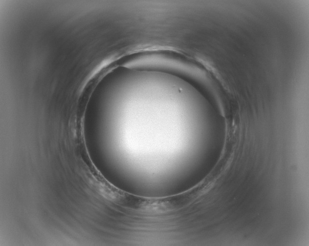 X0000082731165200701261237