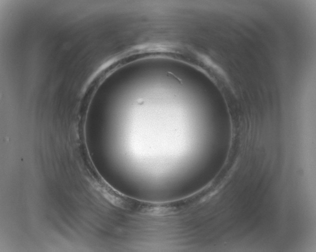X0000082731166200701261237
