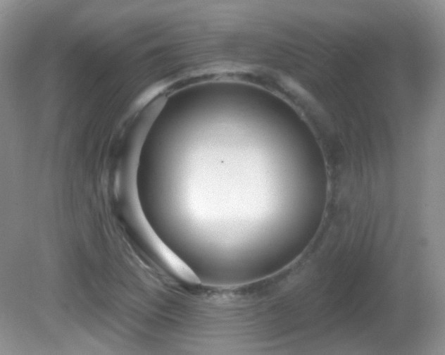 X0000082731169200701261237