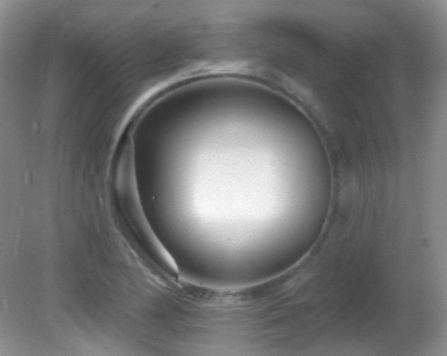 X0000082731174200701261237