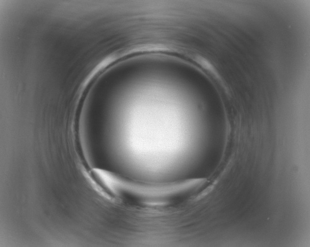 X0000082731181200701261237