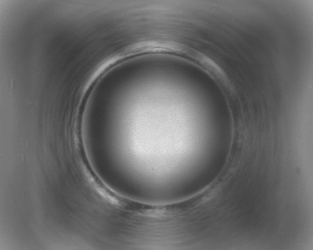 X0000082731182200701261237