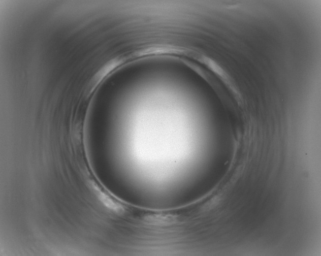 X0000082731185200701261237
