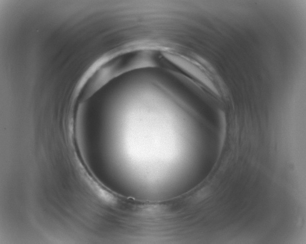 X0000082731188200701261237