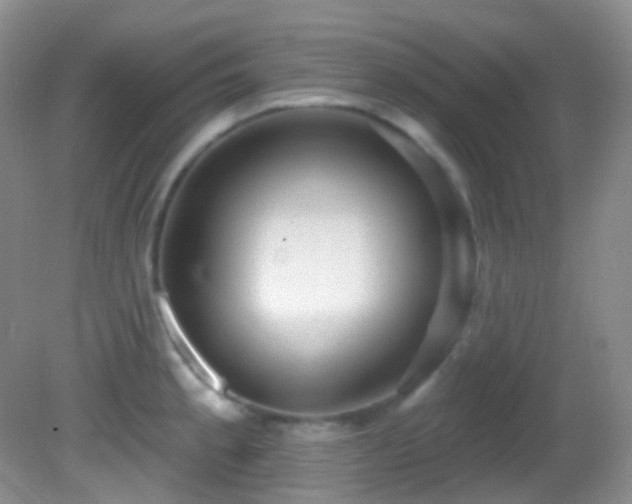 X0000082731189200701261237