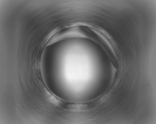 X0000082731193200701261237