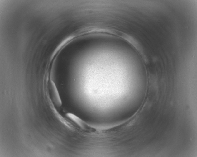 X0000082731198200701261237