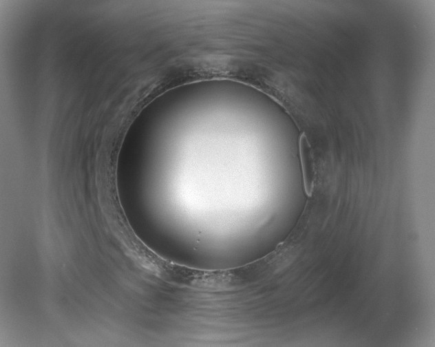X0000082731201200701261236