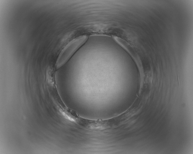 X0000082731202200701261236