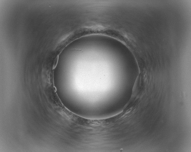 X0000082731205200701261236