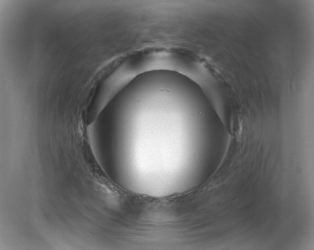 X0000082731206200701261236