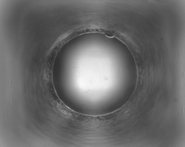 X0000082731207200701261236