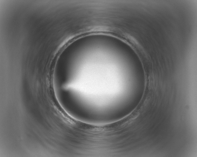X0000082731212200701261236