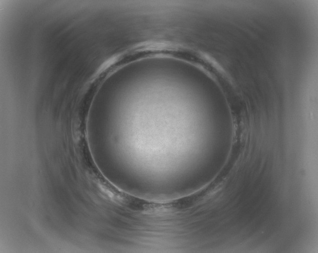 X0000082731213200701261236