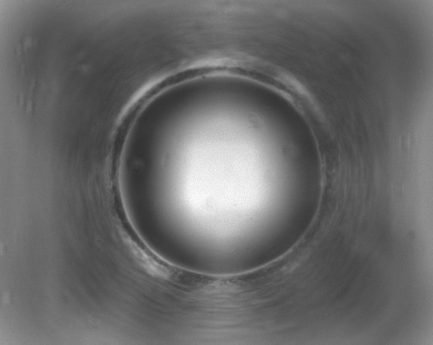 X0000082731216200701261236