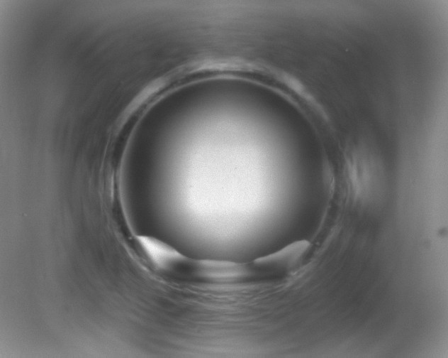 X0000082731221200701261236