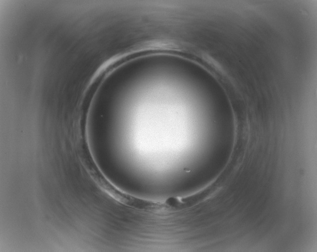 X0000082731222200701261236
