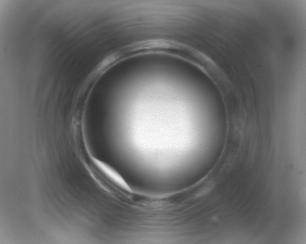 X0000082731225200701261236