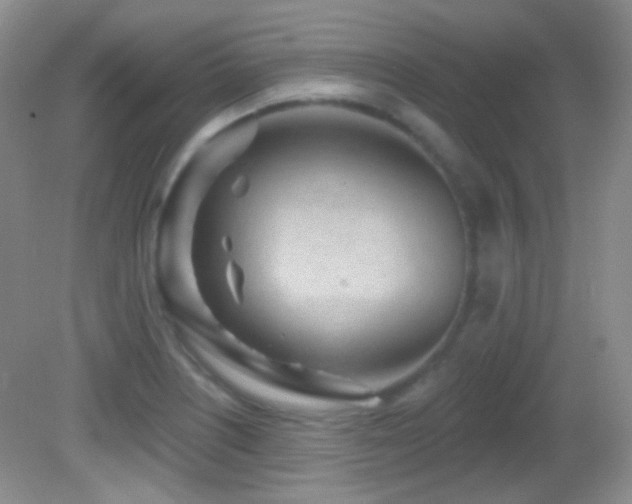 X0000082731226200701261236