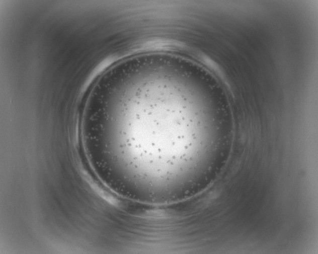 X0000082731227200701261236