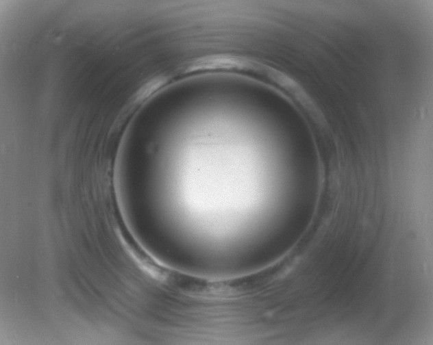 X0000082731233200701261236
