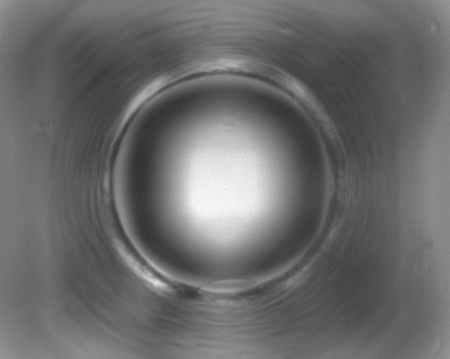 X0000082731234200701261236