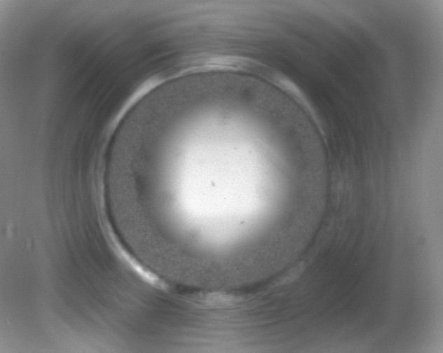 X0000082731235200701261236