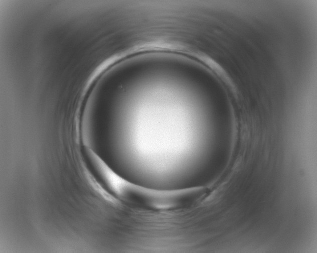 X0000082731238200701261237